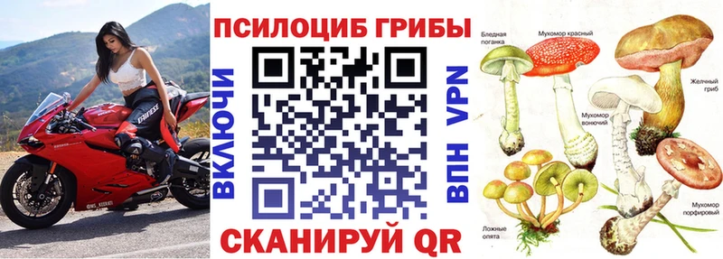 купить наркотик  Кунгур  Галлюциногенные грибы прущие грибы 