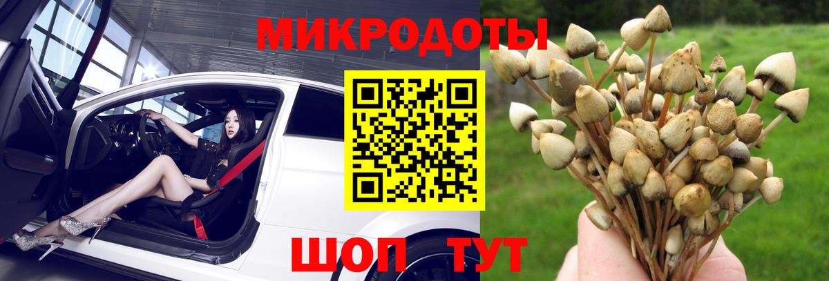 Кунгур  Галлюциногенные грибы Psilocybine cubensis  Галлюциногенные грибы Cubensis  Вход с VPN 