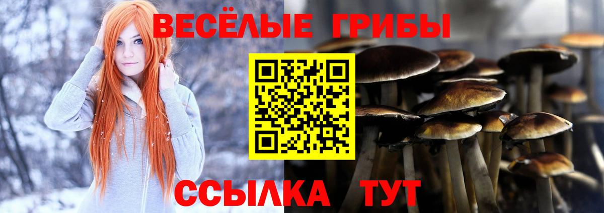 Галлюциногенные грибы мухоморы Кунгур