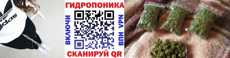 OMG онион  Кунгур  Марихуана Amnesia 